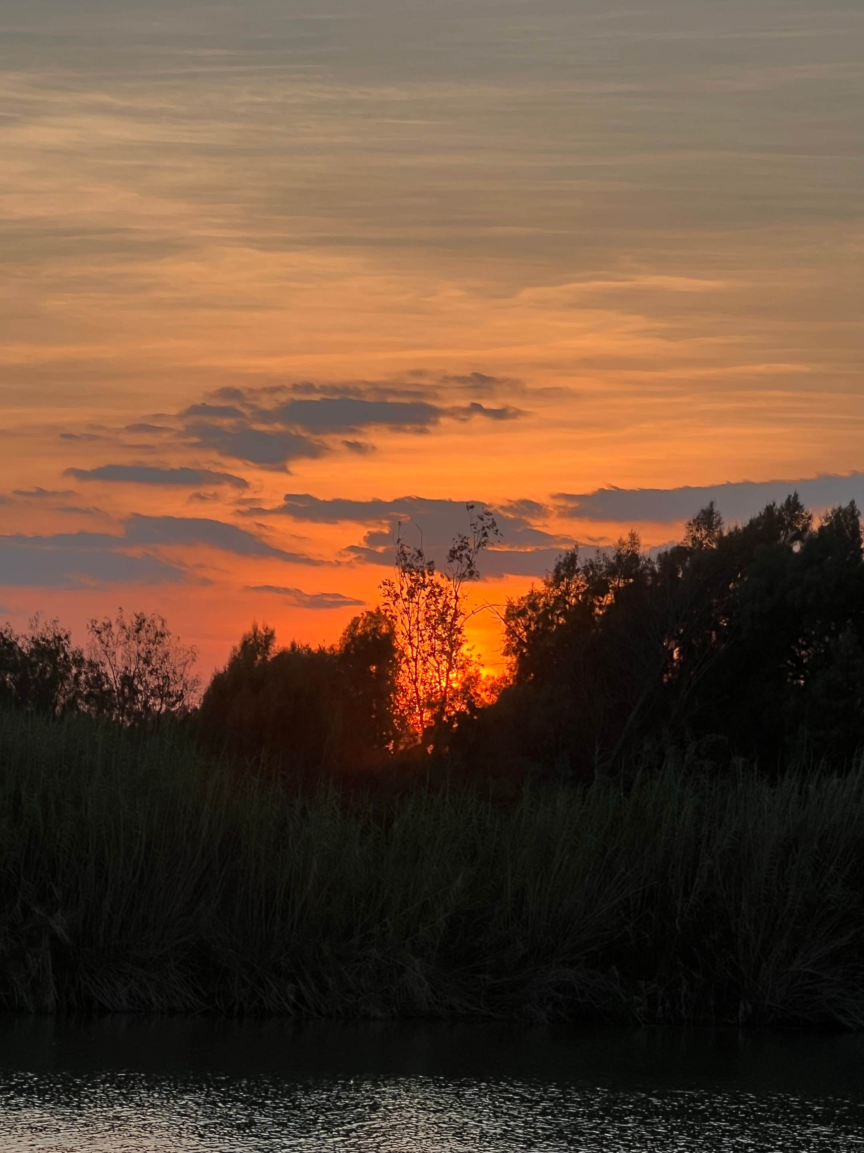 Camper-submitted photo at Chimney Park RV Resort On The Rio Grande near McAllen, TX