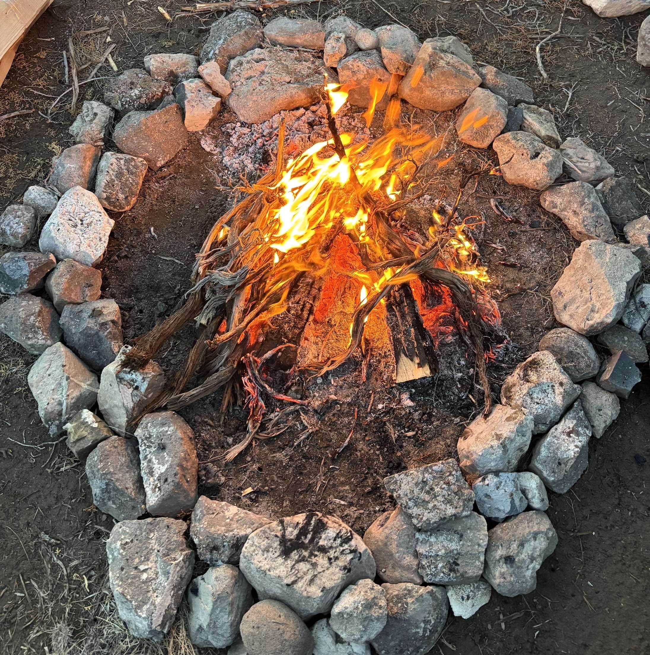 Camper submitted image from Chimney Rock Dispersed - 1