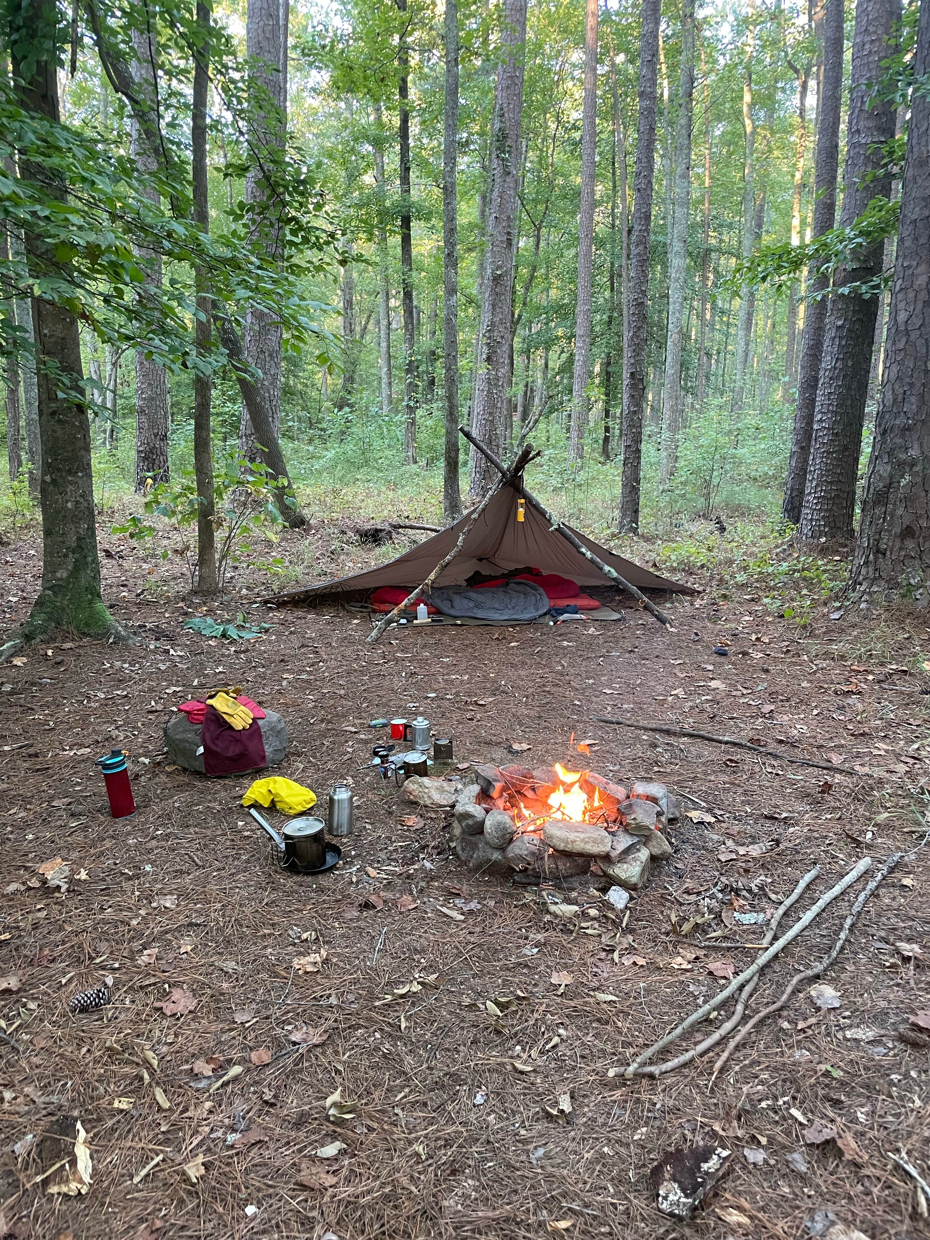 Camper submitted image from Chinnabee Silent Trail Backcountry Site 2 - 1