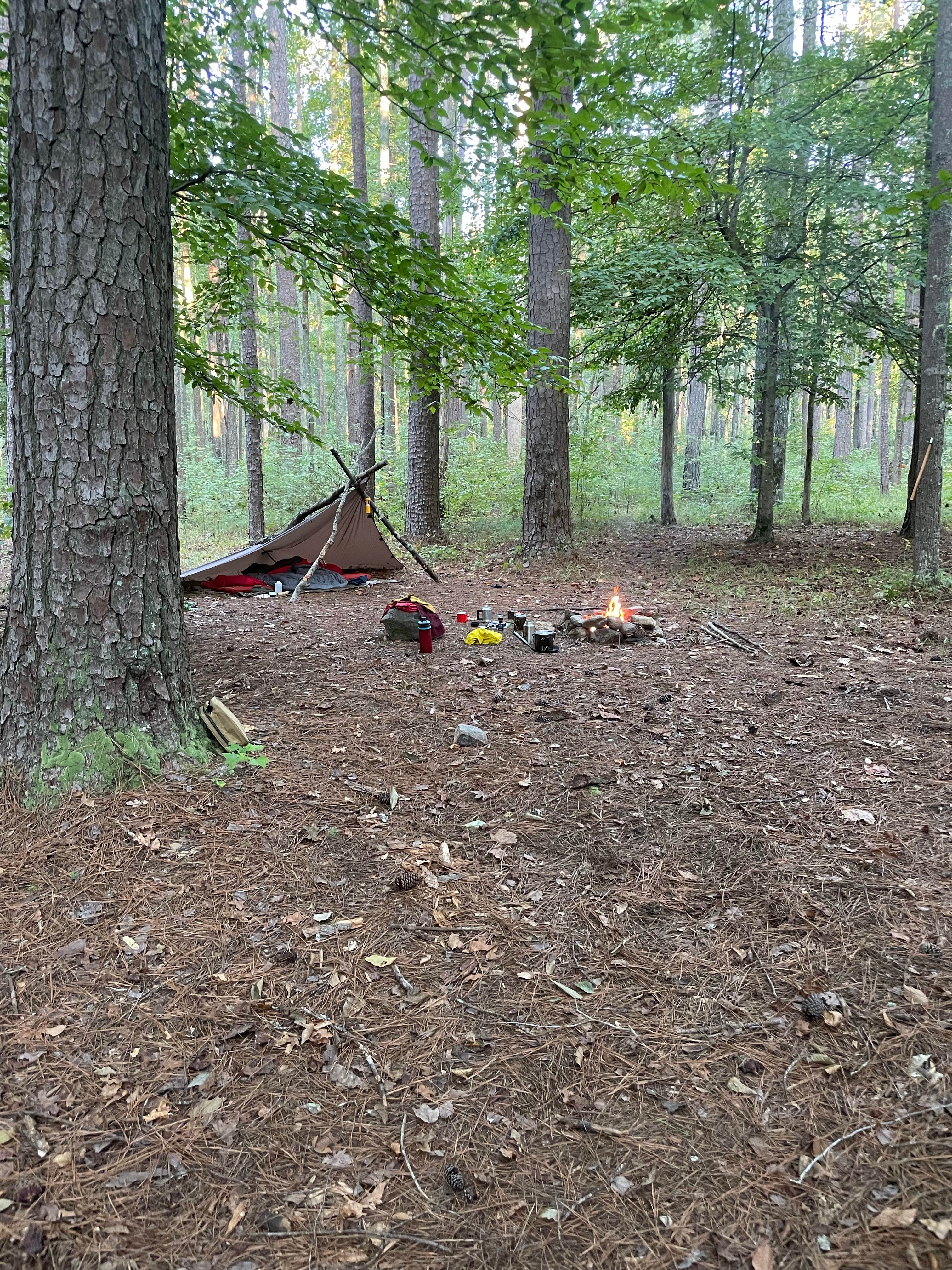 Ben W.'s photo of a dispersed camping area at Chinnabee Silent Trail Backcountry Site 2 near Columbiana, AL