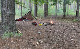Ben W.'s photo at Chinnabee Silent Trail Backcountry Site 2 near Millerville, AL
