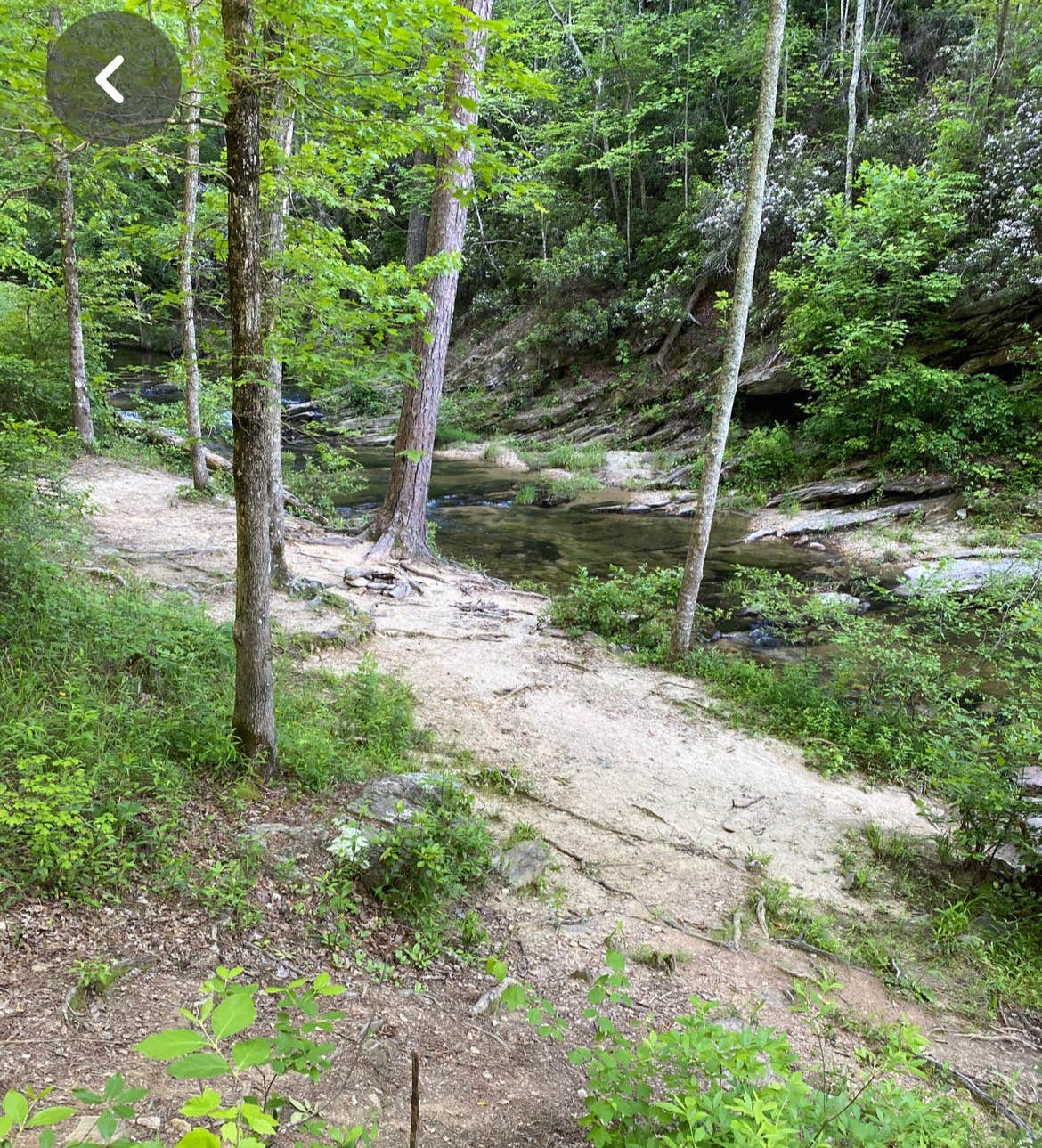 Camper-submitted photo at Chinnabee Silent Trail Backcountry Site 9 near Oneonta, AL
