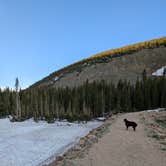 Review photo of Chinns Lake Dispersed Camping by Wesley S., June 17, 2025