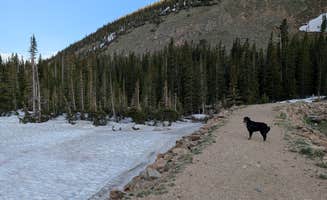 Wesley S.'s photo of camping with pets at Chinns Lake Dispersed Camping near Georgetown, CO