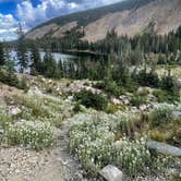 Review photo of Chinns Lake Dispersed Camping by Greg , September 12, 2025