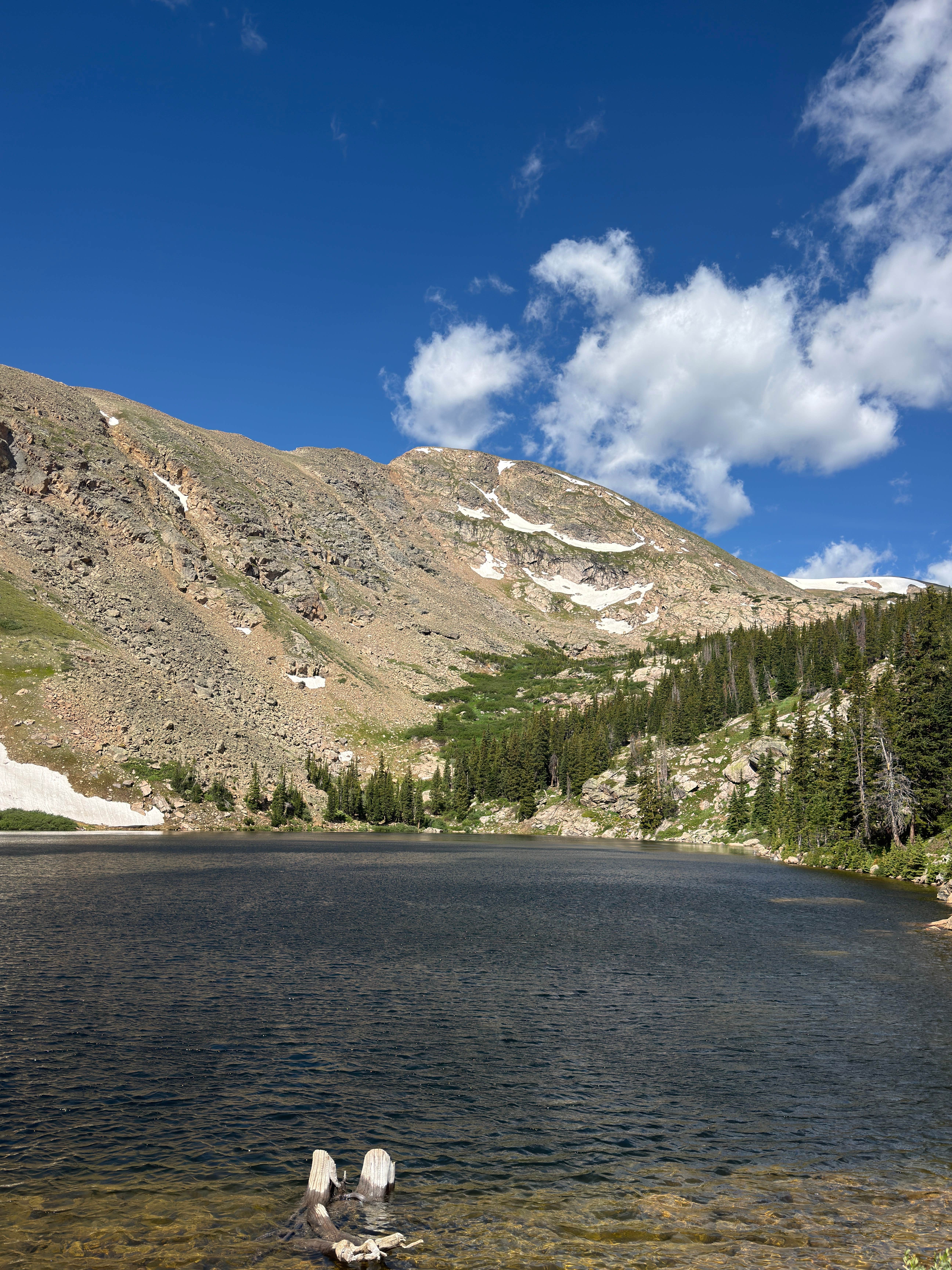 Will K.'s photo of a dispersed camping area at Chinns Lake Dispersed Camping near Lakewood, CO