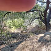 Review photo of Rolling M. Ranch Campground — Chino Hills State Park by Cris B., February 24, 2025