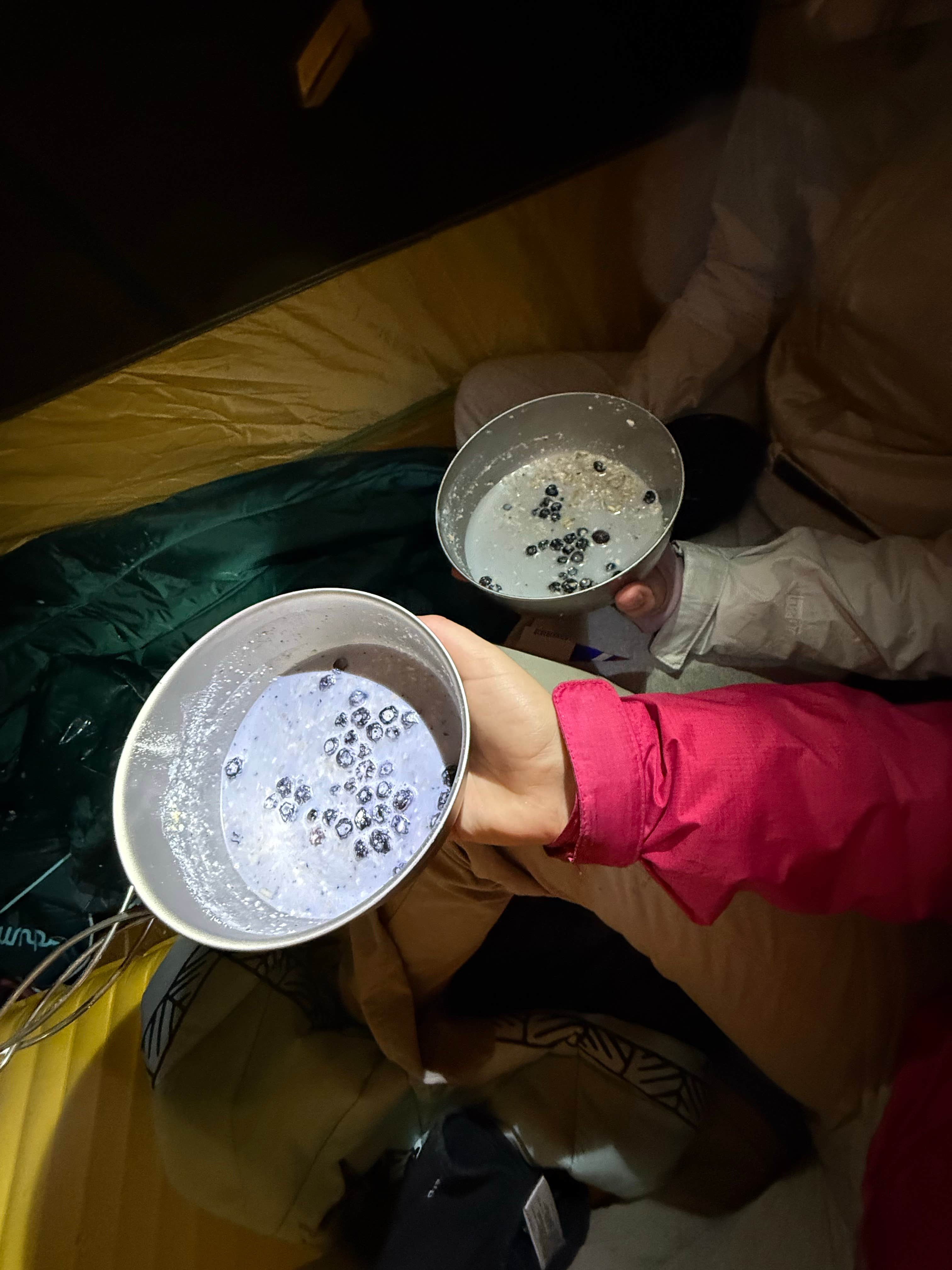 Camper-submitted photo at Chinouapin Zone San Bernardino National Forest near Fallbrook, CA