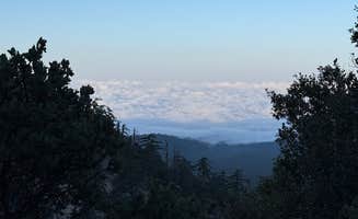 carina M.'s photo of a dispersed camping area at Chinouapin Zone San Bernardino National Forest near San Bernardino National Forest