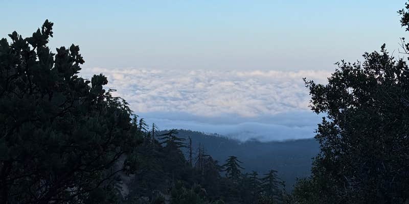 Camper submitted image from Chinouapin Zone San Bernardino National Forest
