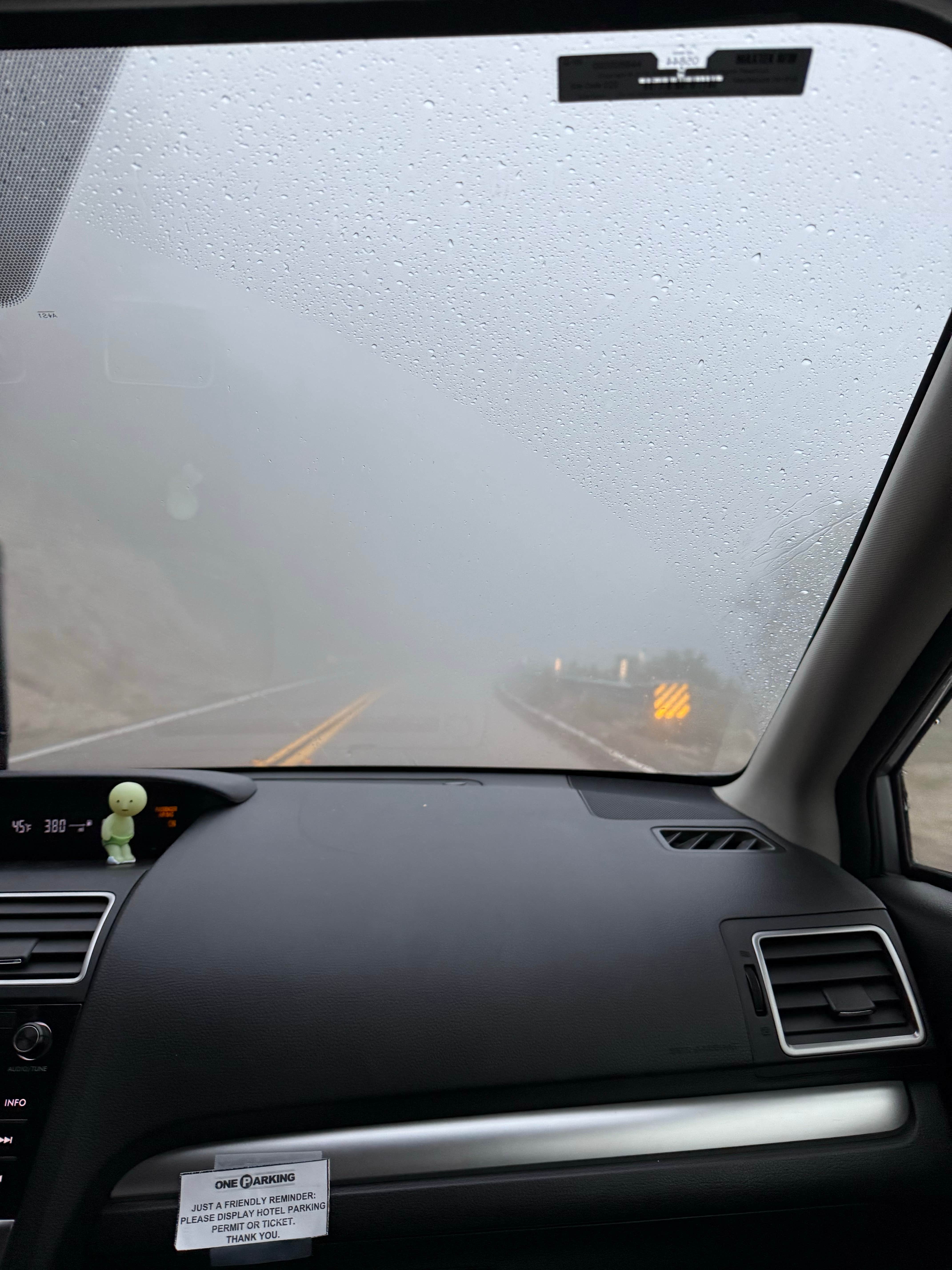 Camper-submitted photo at Chinouapin Zone San Bernardino National Forest near Fallbrook, CA