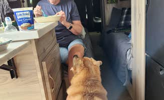 Bruce&Linda A.'s photo of camping with pets at Chipotlé by Outer Dunes™ Brewery near North Topsail Beach, NC