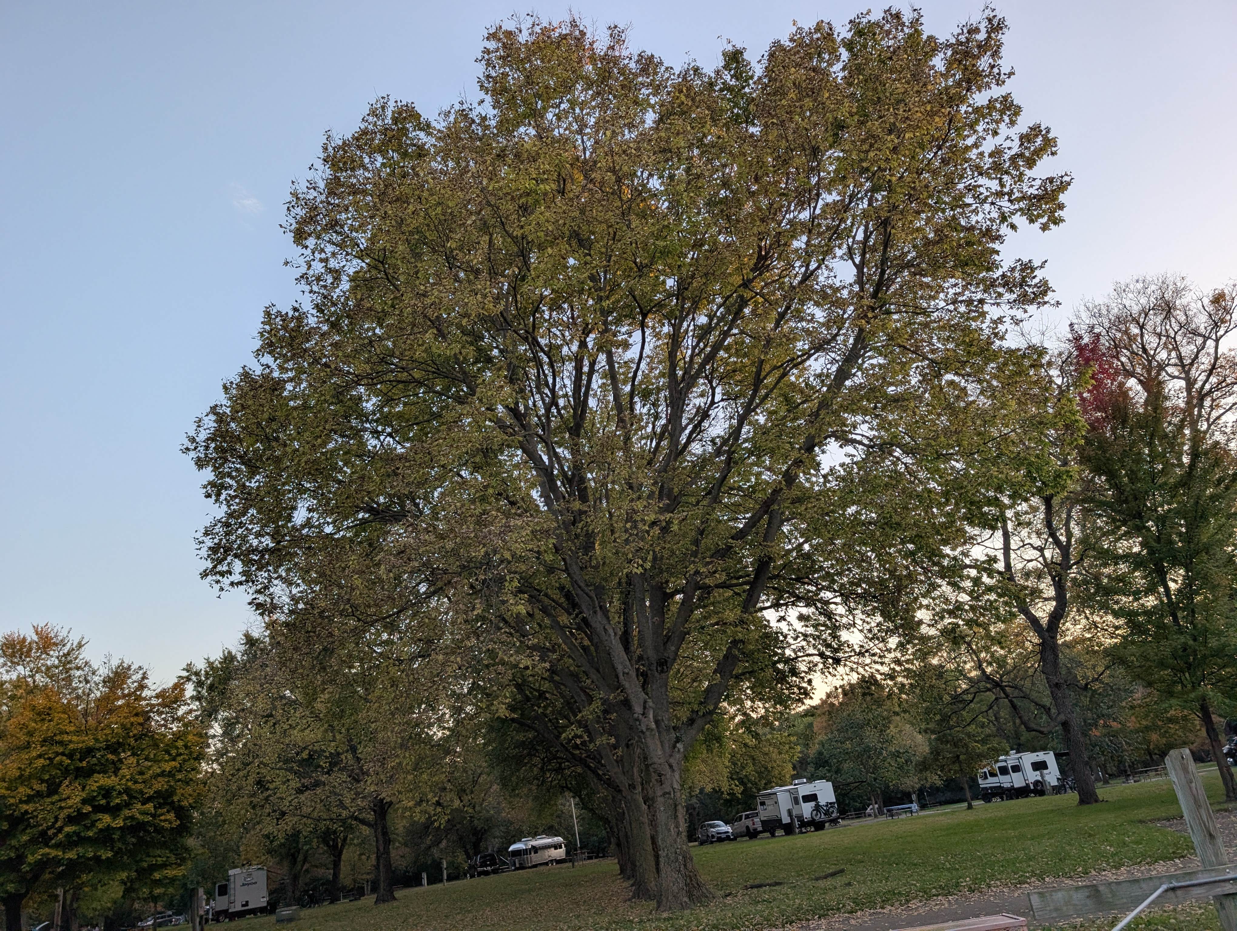 Camper-submitted photo at Chippewa Campground — Kankakee River State Park near Wilmington, IL