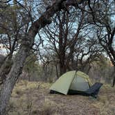 Review photo of Pinery Canyon Road Dispersed Camping - Coronado National Forest by Haley L., July 14, 2025