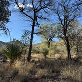 Review photo of Pinery Canyon Road Dispersed Camping - Coronado National Forest by Haley L., July 14, 2025