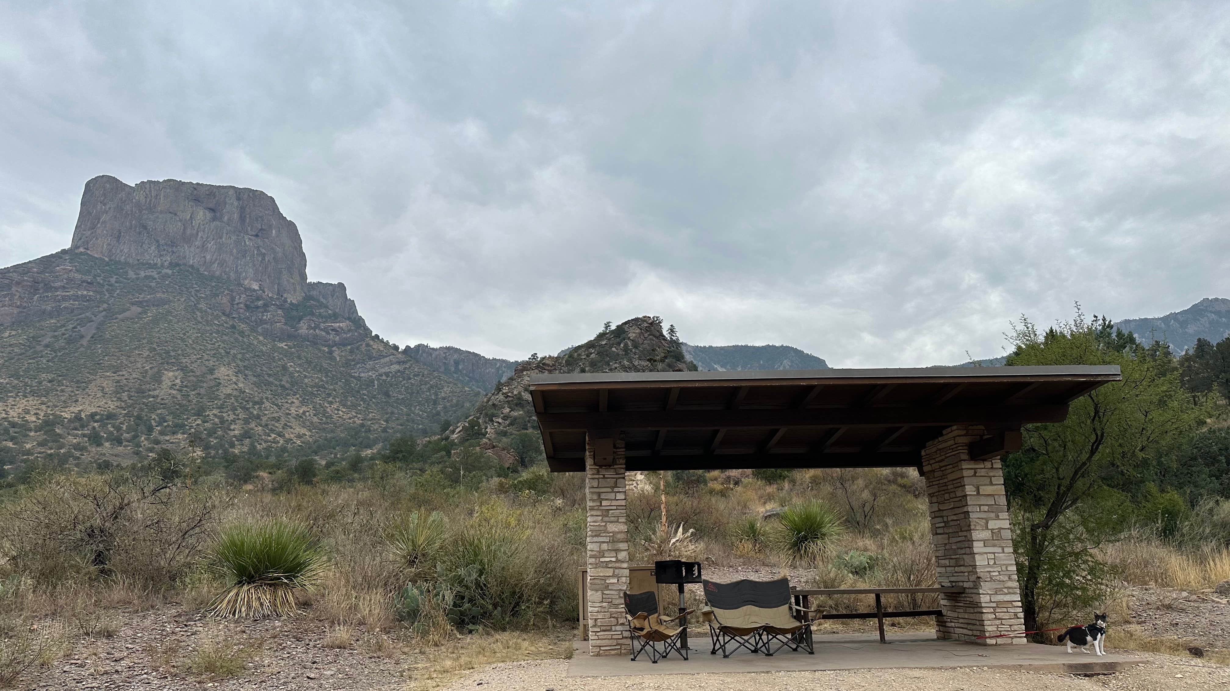 Cari E.'s photo of camping with pets at Chisos Basin Campground (Big Bend, Tx) — Big Bend National Park near Big Bend National Park