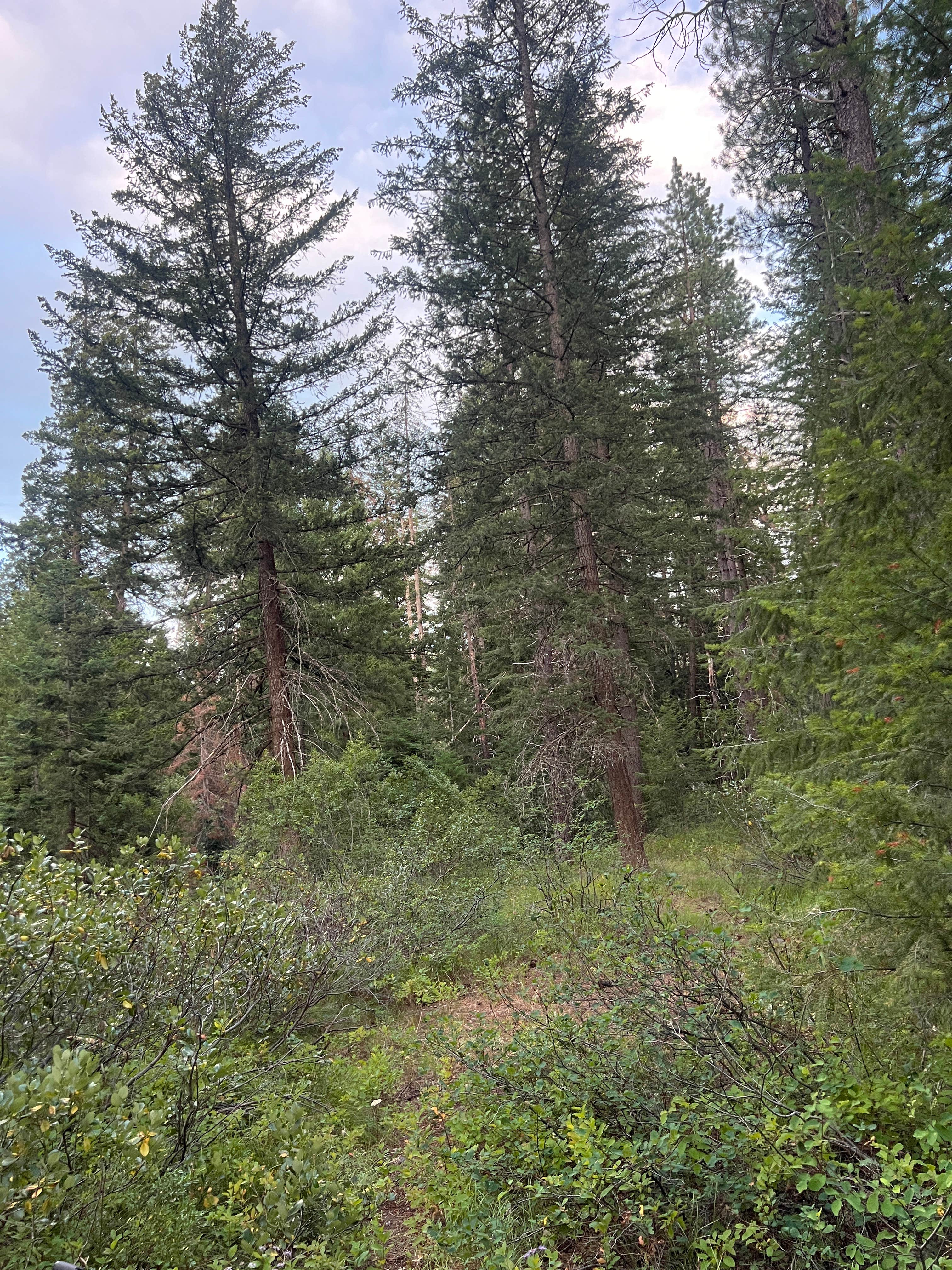Chiwaukum Creek