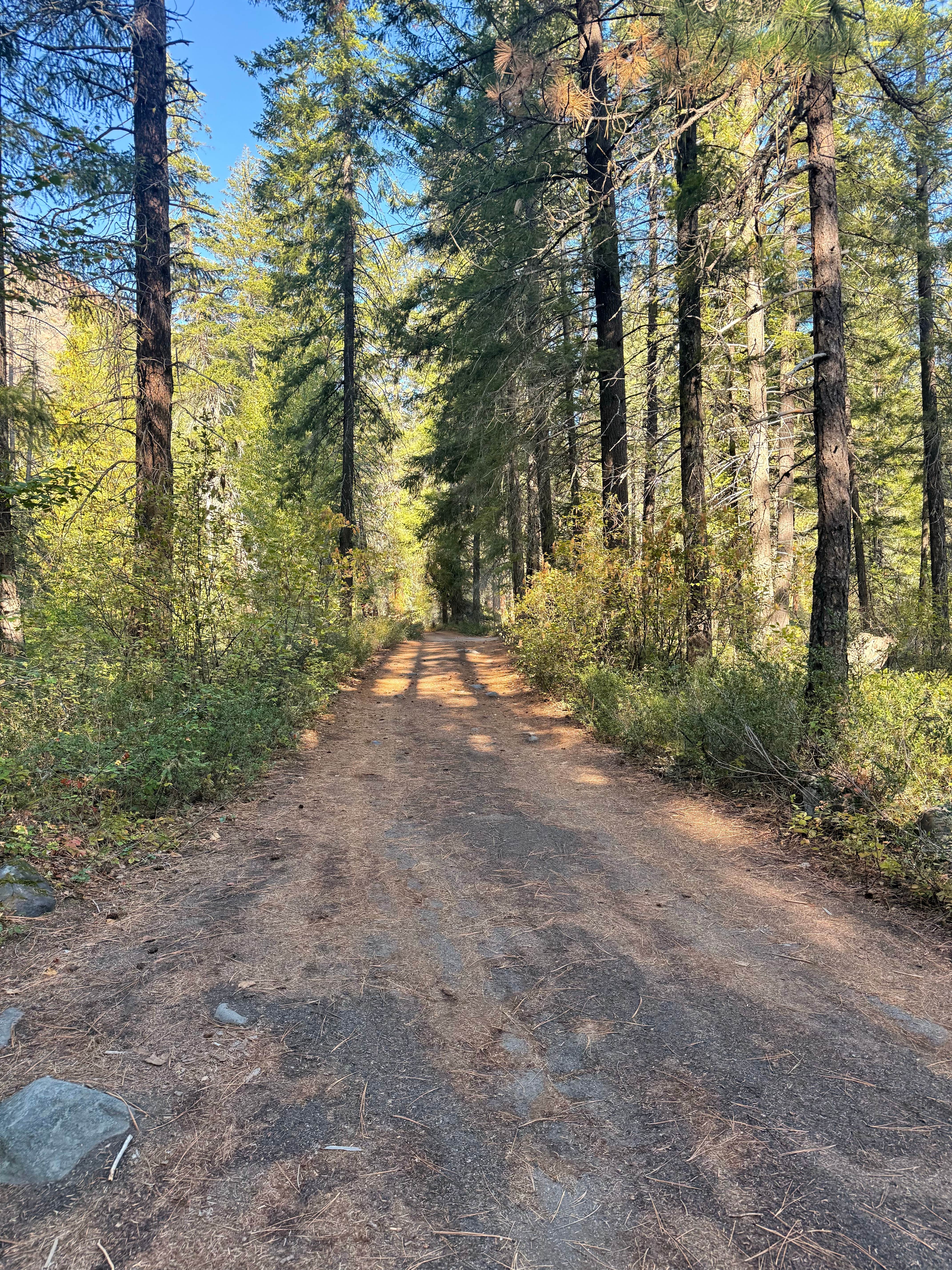 Camper-submitted photo at Chiwaukum Creek near Ardenvoir, WA
