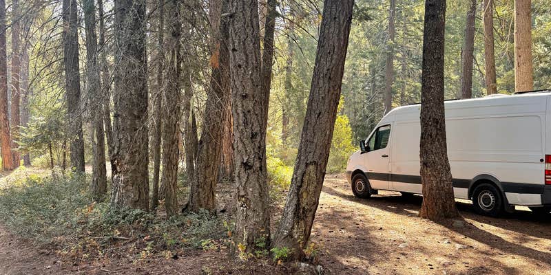 Camper submitted image from Chiwaukum Creek