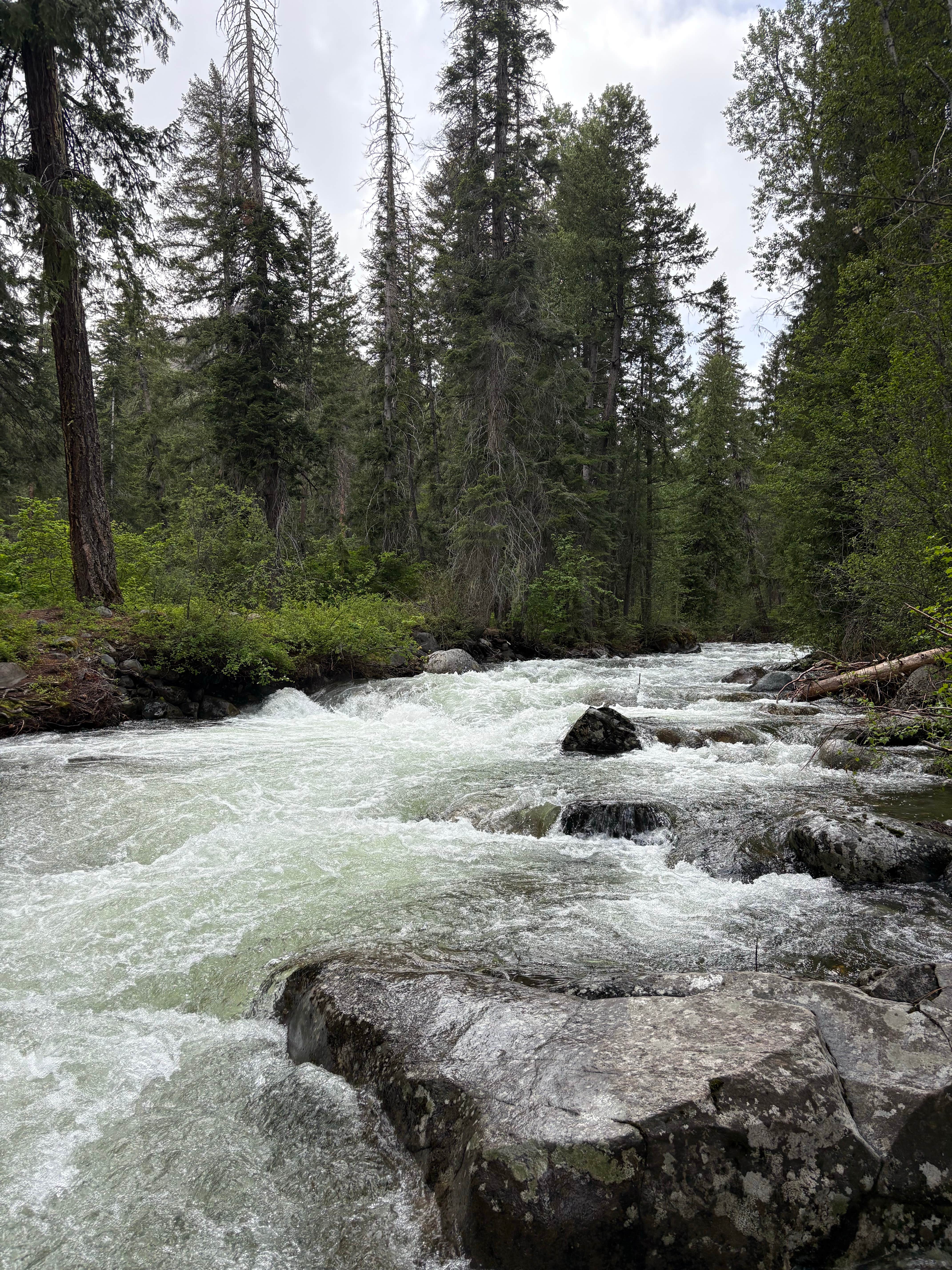 Camper-submitted photo at Chiwaukum Creek near Peshastin, WA