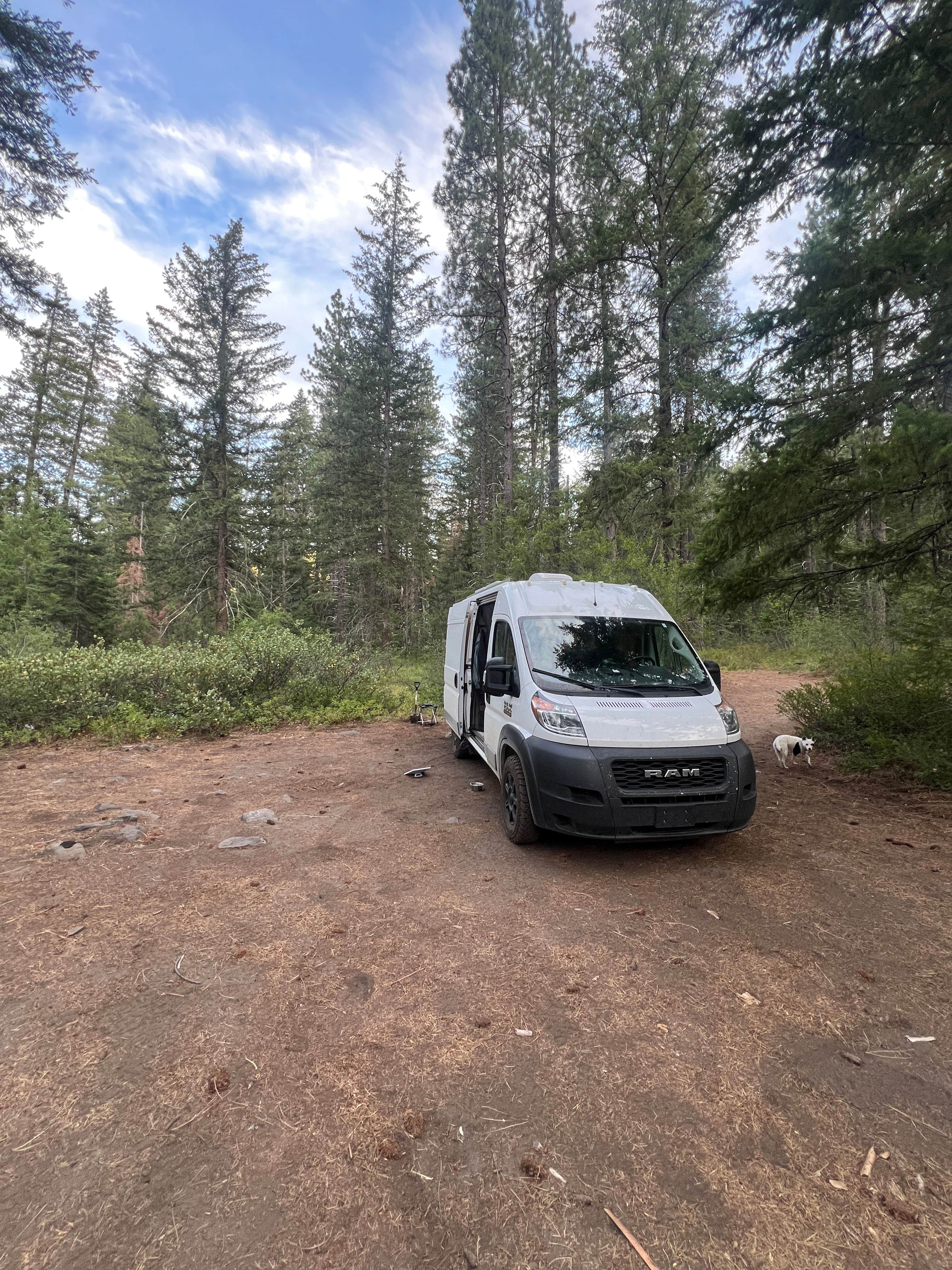 Camper-submitted photo at Chiwaukum Creek near Ardenvoir, WA