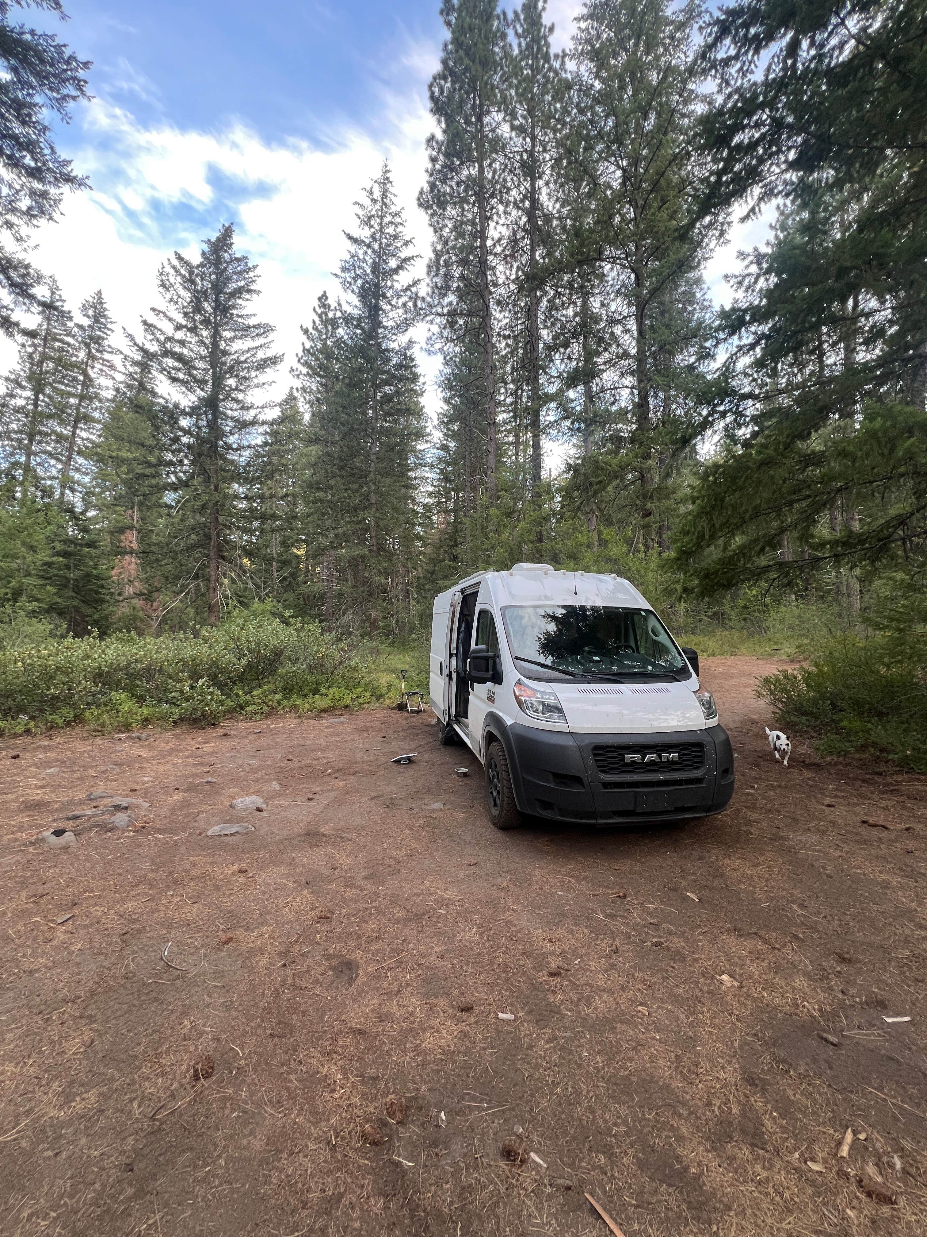 Camper-submitted photo at Chiwaukum Creek near Ardenvoir, WA