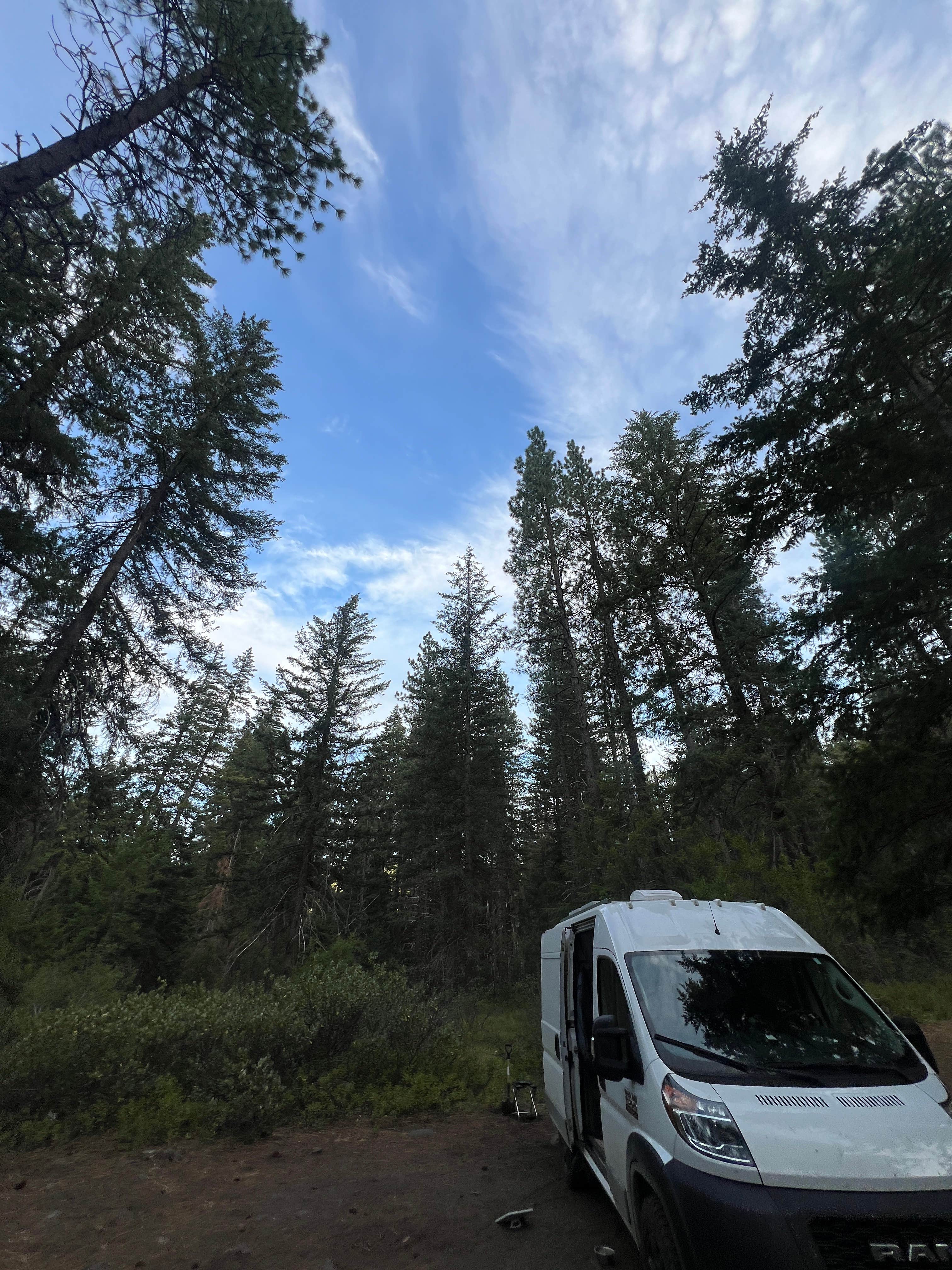 Camper-submitted photo at Chiwaukum Creek near Ardenvoir, WA