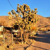 Review photo of Chloride Western R.V. Park by Cris B., December 15, 2025