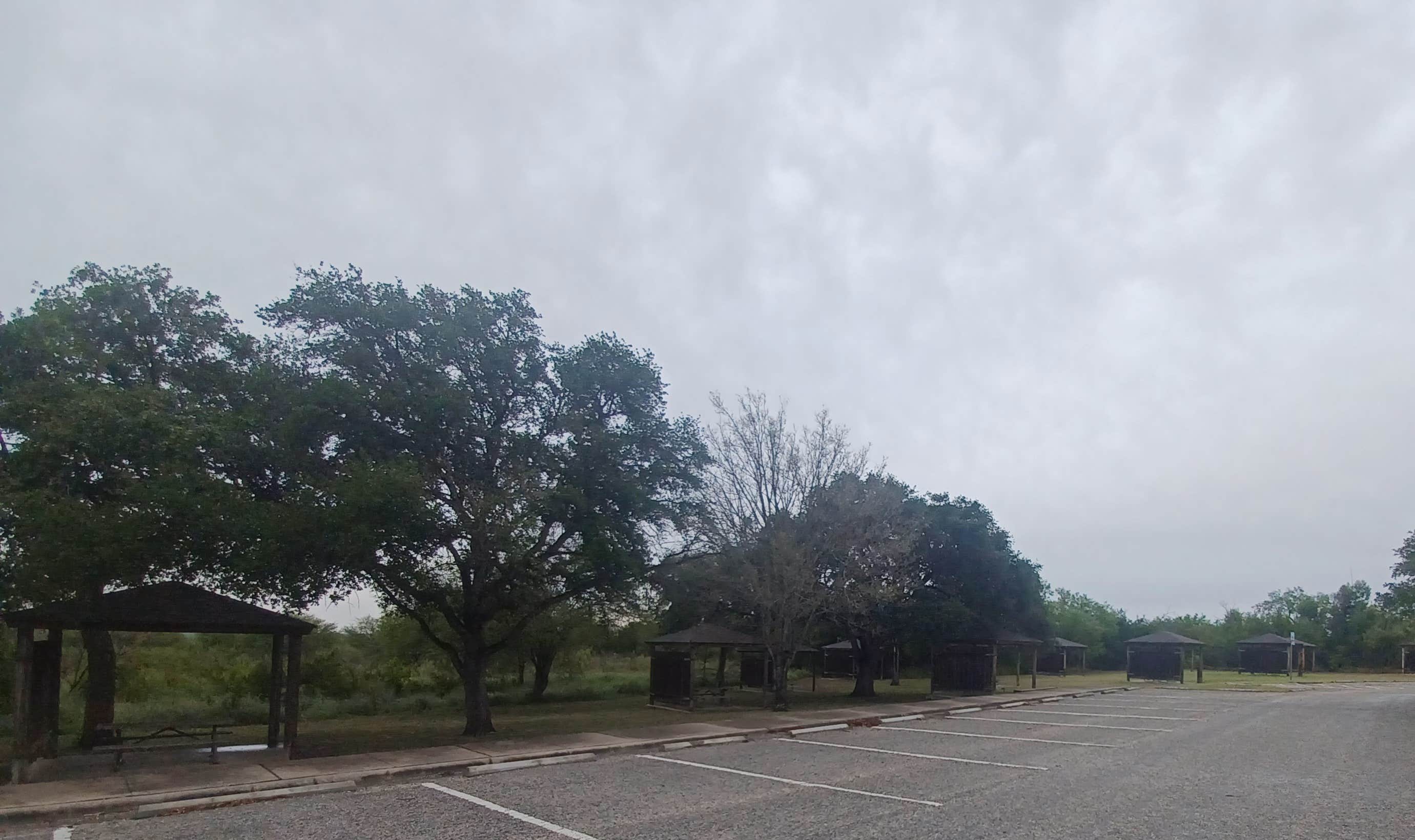 Camper submitted image from Choke Canyon Estate RV Park - 3