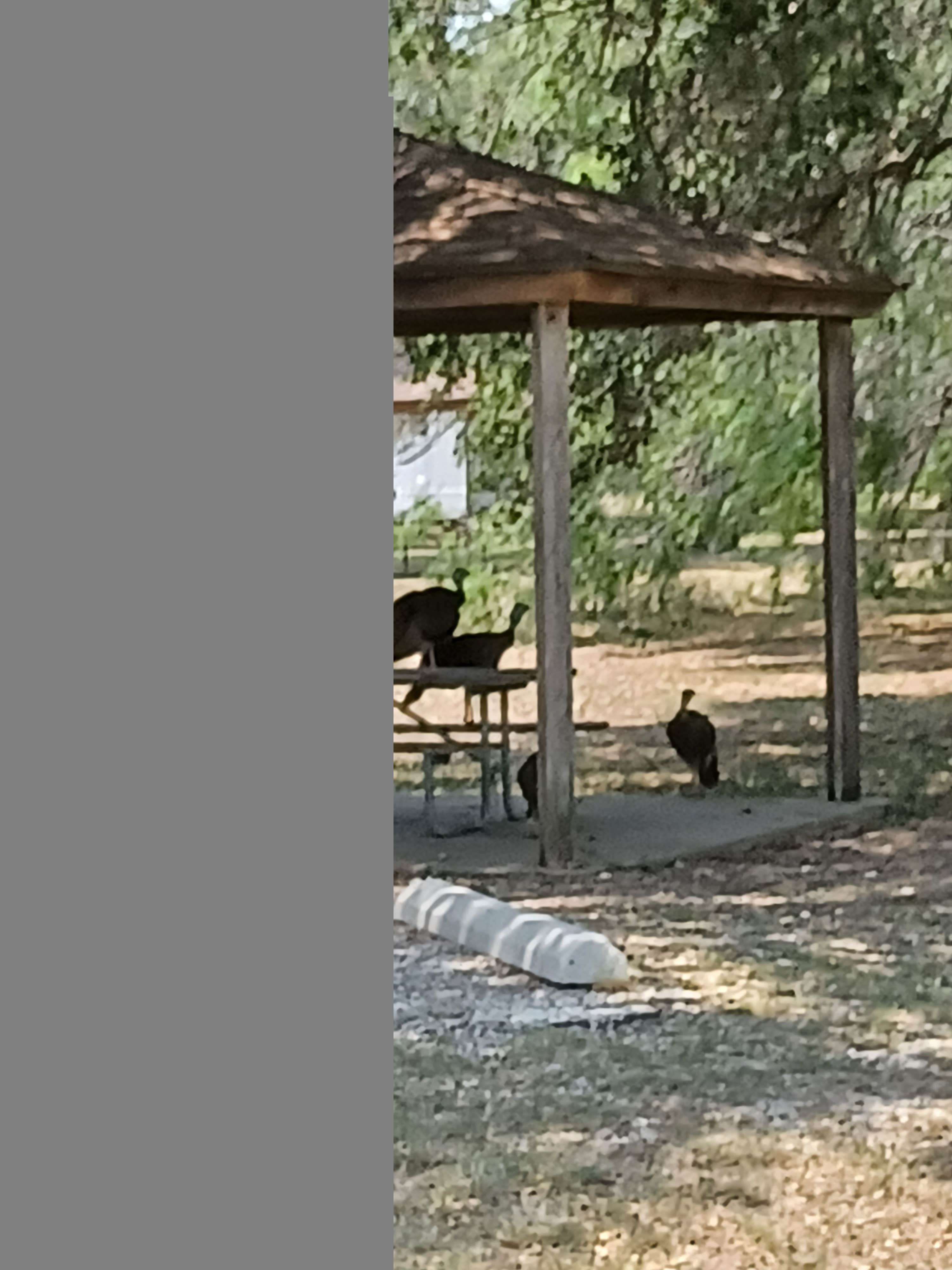 Camper-submitted photo at Choke Canyon Estate RV Park near Calliham, TX