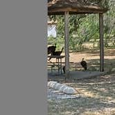 Review photo of Choke Canyon Estate RV Park by Red S., June 11, 2025