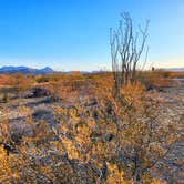 Review photo of Chosa Campground by Bruce&Linda A., March 25, 2025