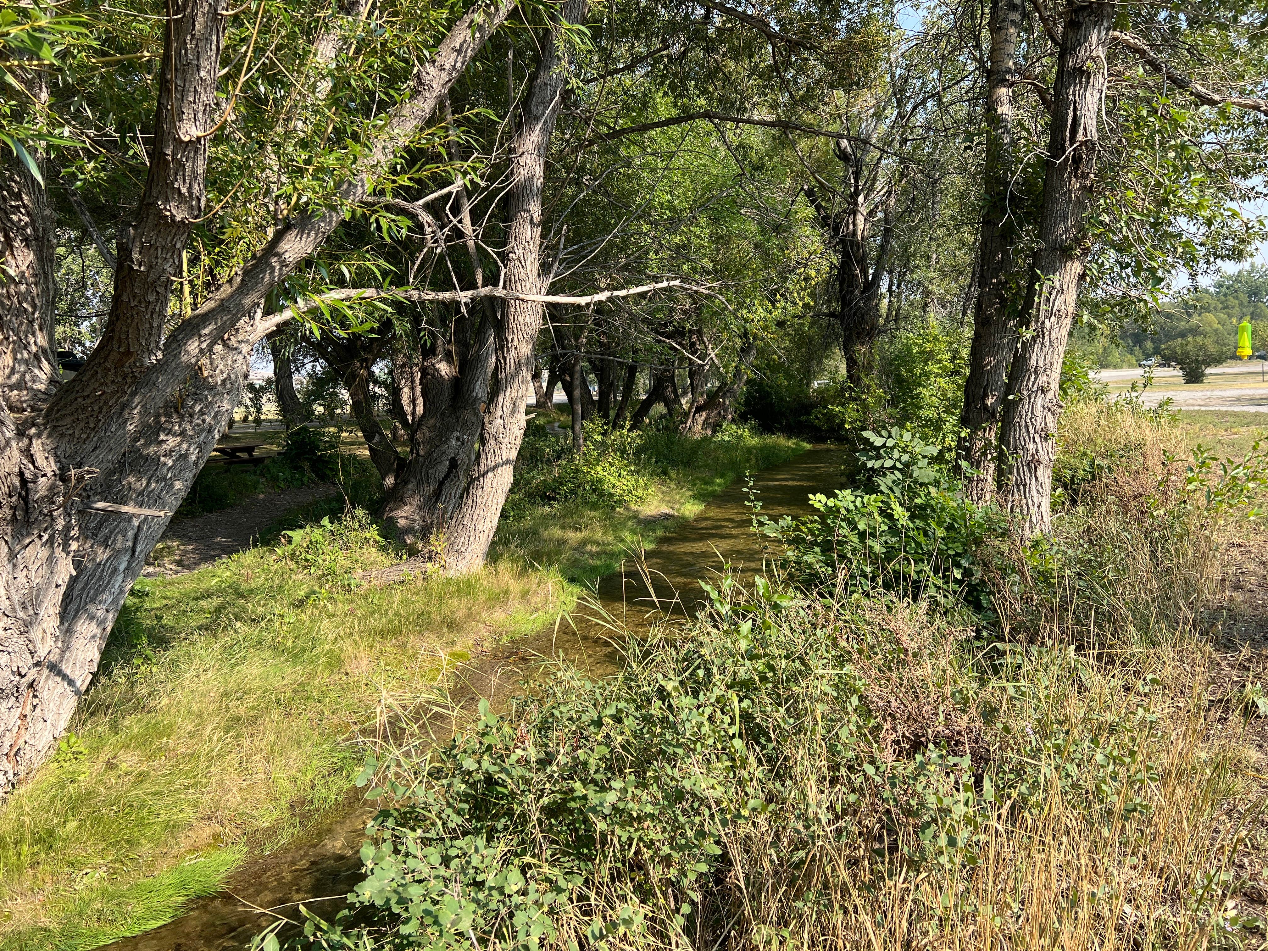 Camper-submitted photo at Choteau City Park near Choteau, MT