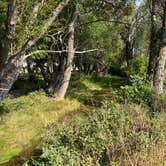 Review photo of Choteau City Park by Samantha S., September 7, 2025