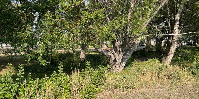 Camper submitted image from Choteau City Park