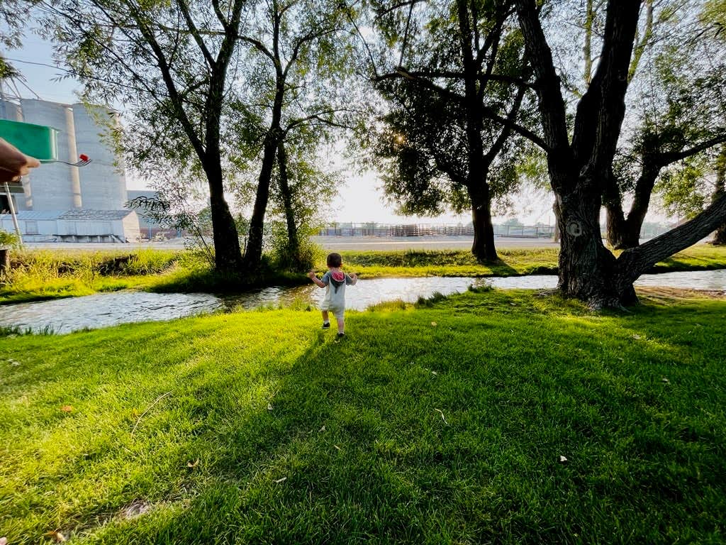 Camper submitted image from Choteau City Park - 2