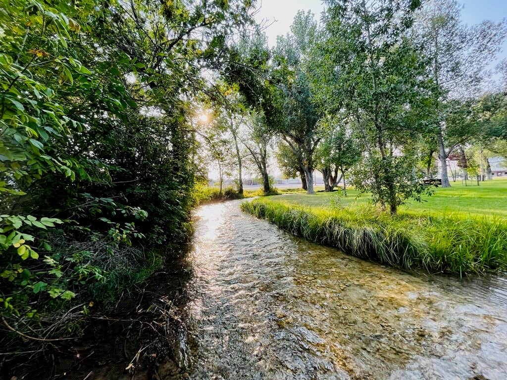 Camper-submitted photo at Choteau City Park near Choteau, MT