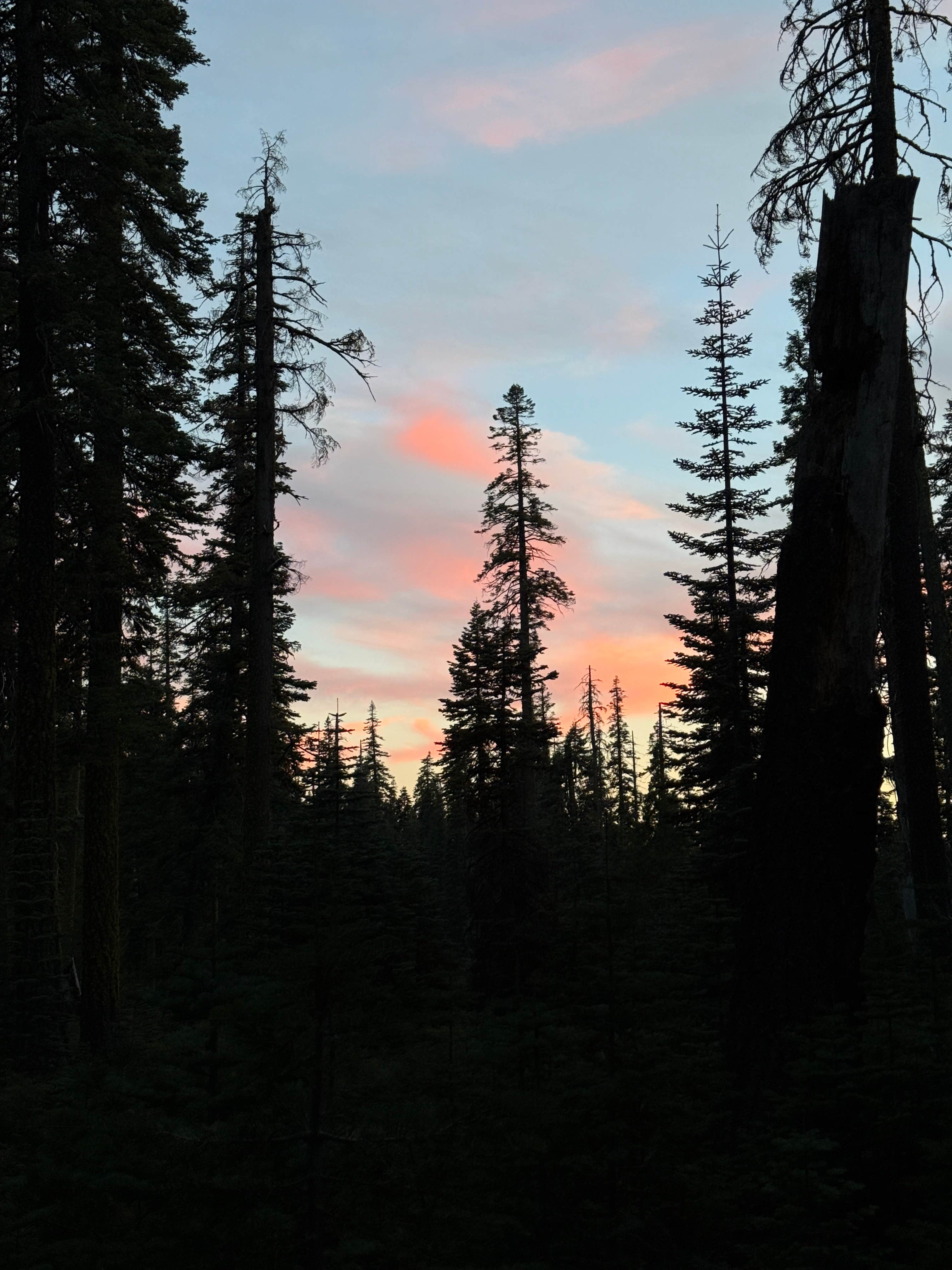 Camper-submitted photo at Christie Hill Basecamp near Bella Vista, CA