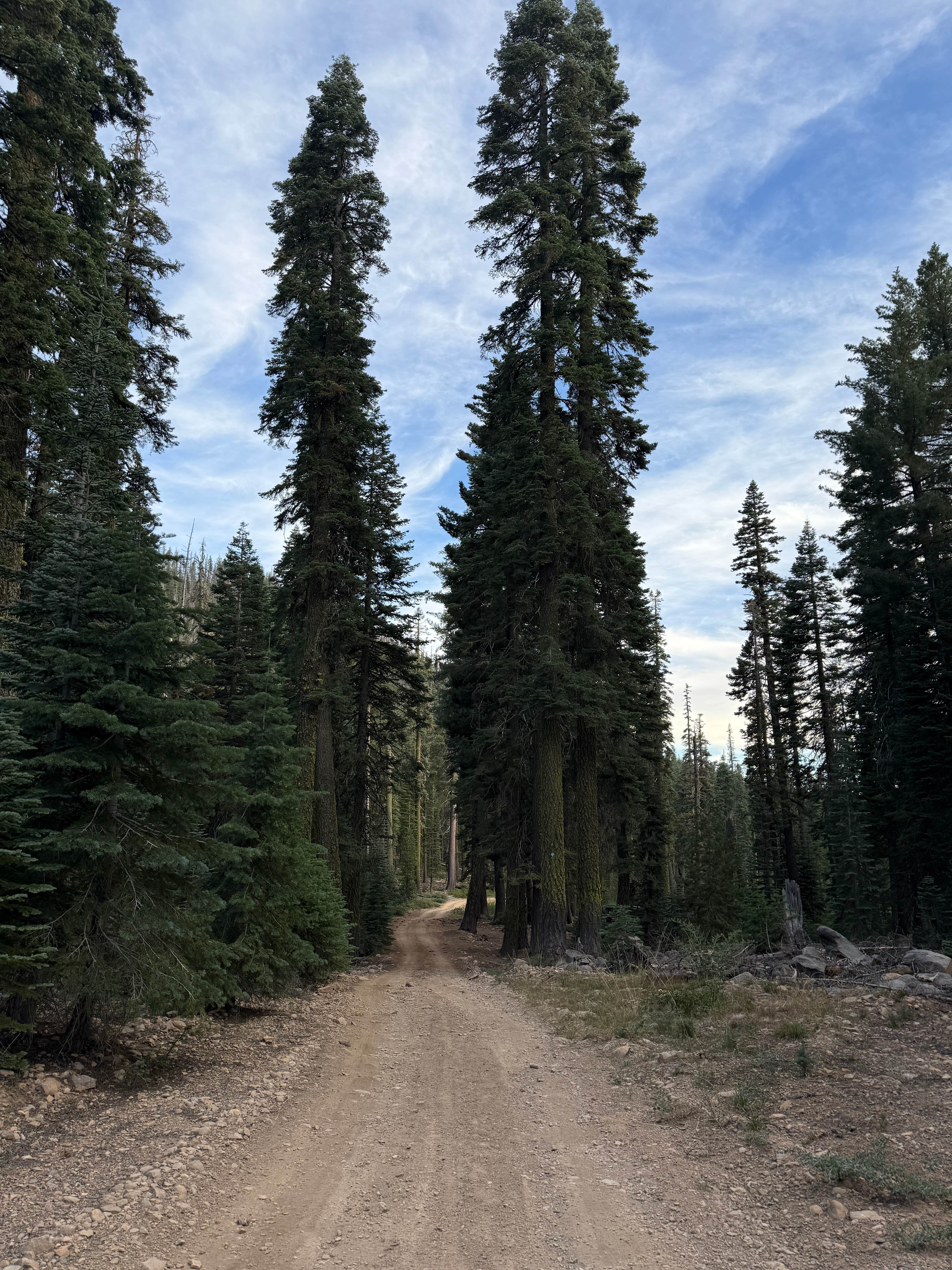Camper-submitted photo at Christie Hill Basecamp near Bella Vista, CA