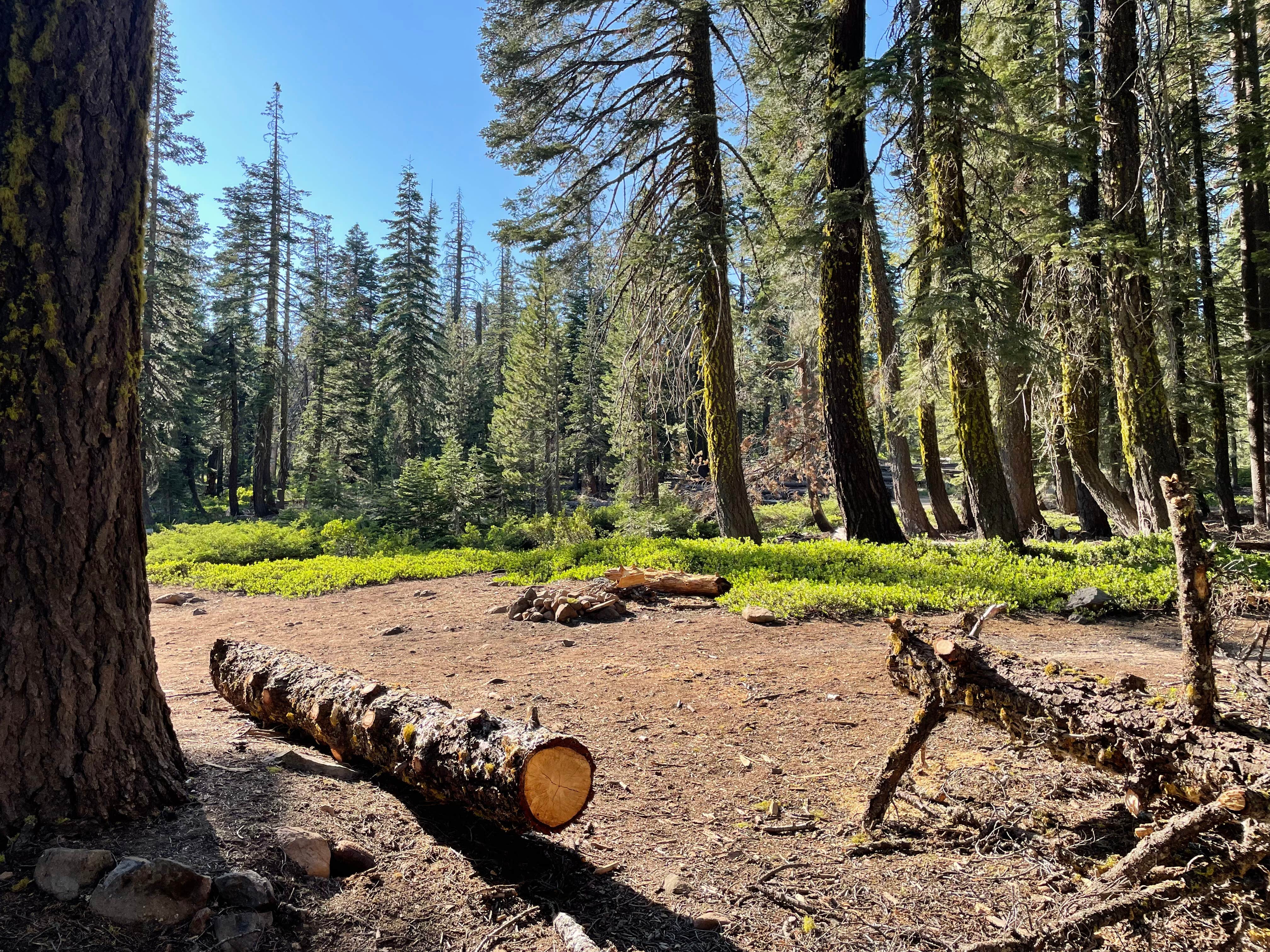 Camper-submitted photo at Christie Hill Basecamp near Belden, CA