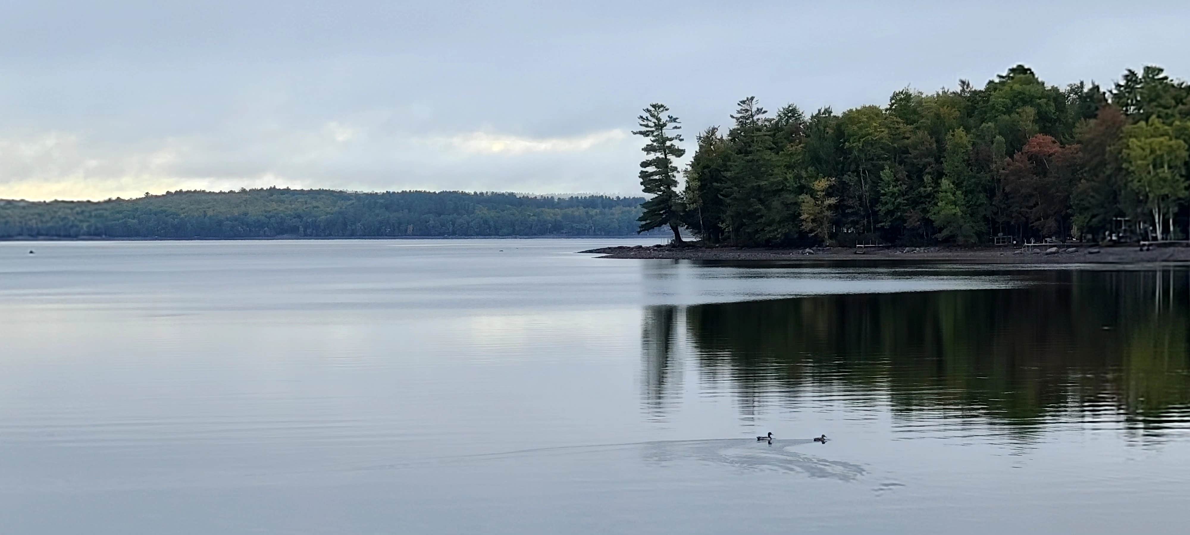 Camper submitted image from Sebasticook Lake Campground - 5