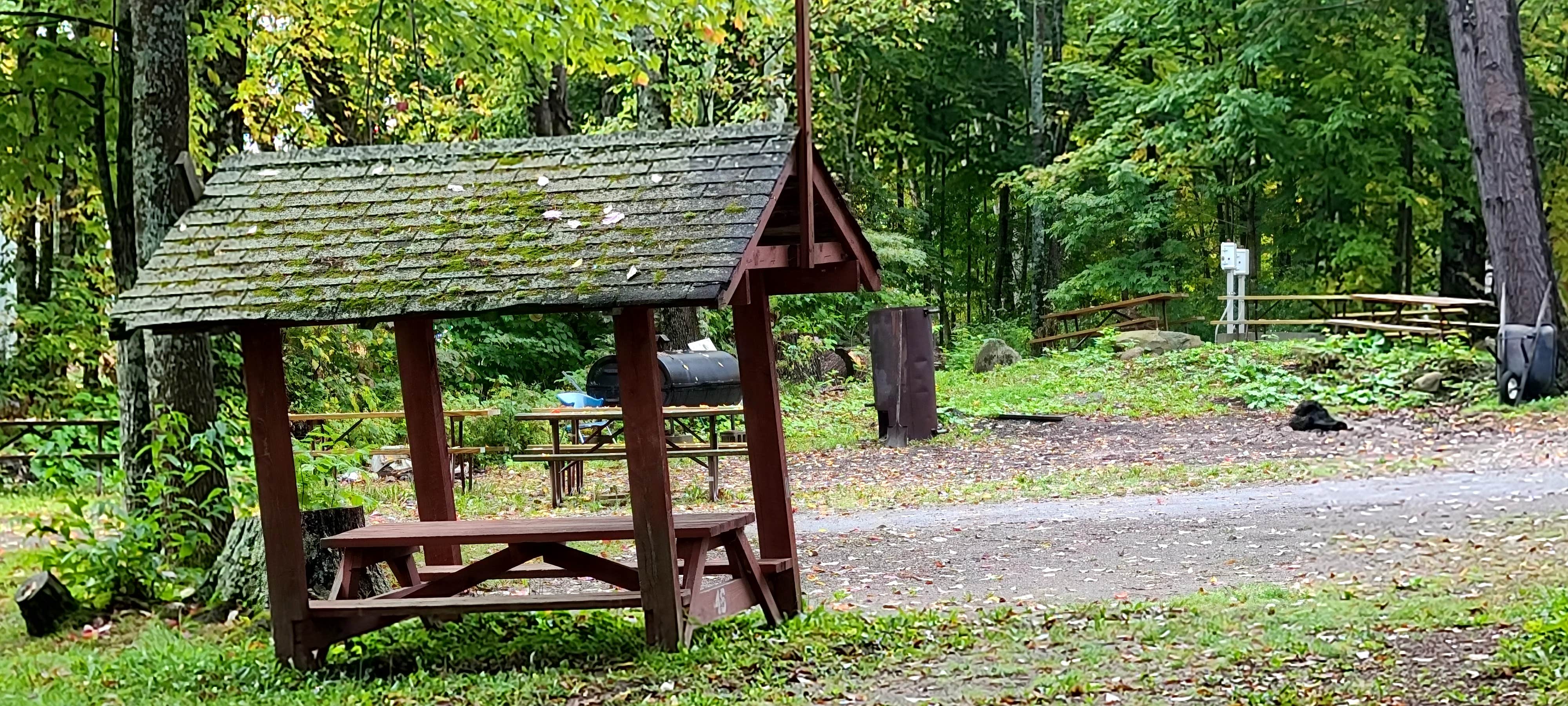 Camper submitted image from Sebasticook Lake Campground - 3