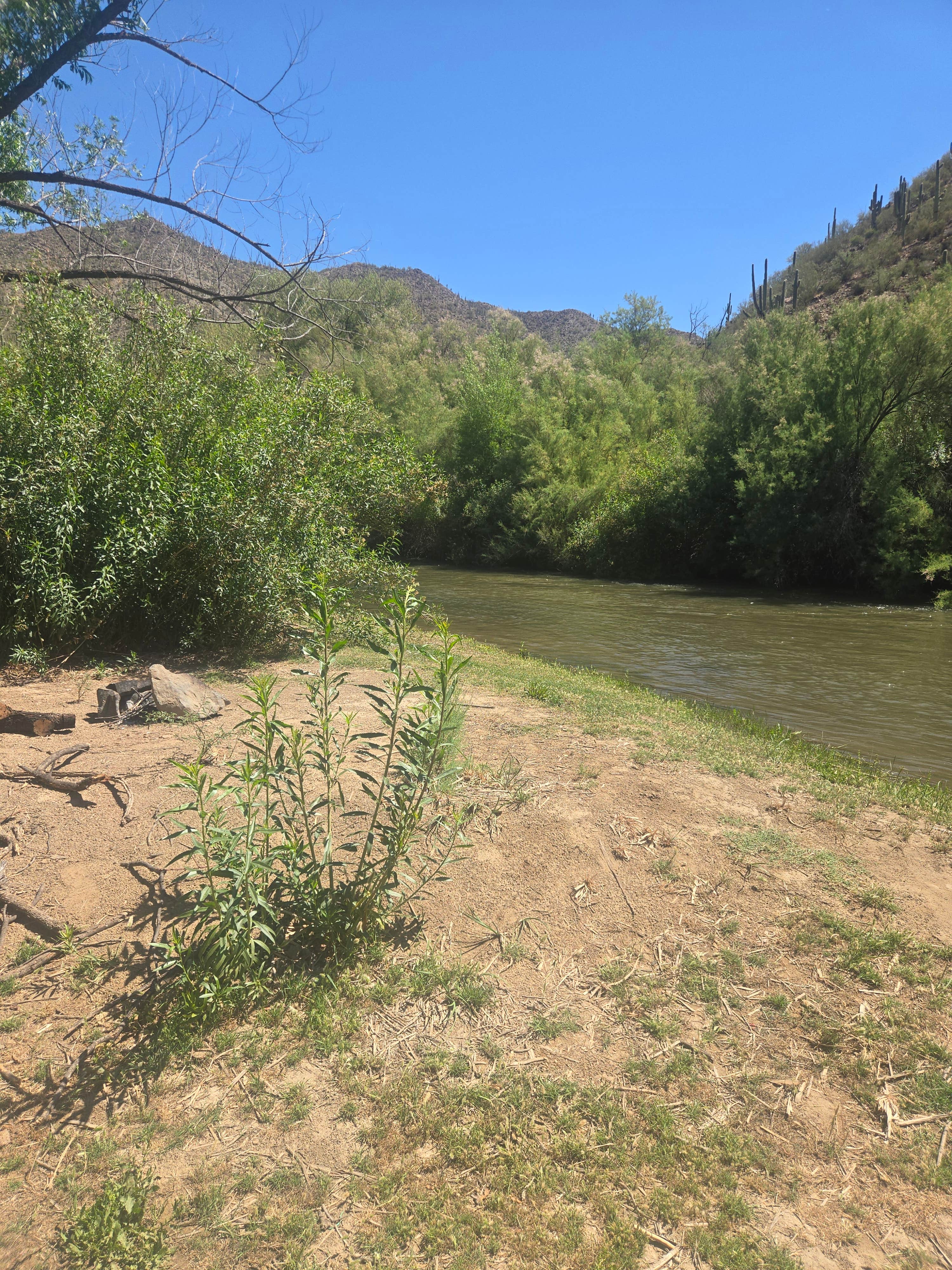 Camping near BLM Fourmile Canyon: Christmas - Gila River Recreation Area, Winkelman, Arizona
