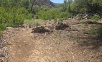 mark F.'s photo of camping with pets at Christmas - Gila River Recreation Area near Oracle, AZ
