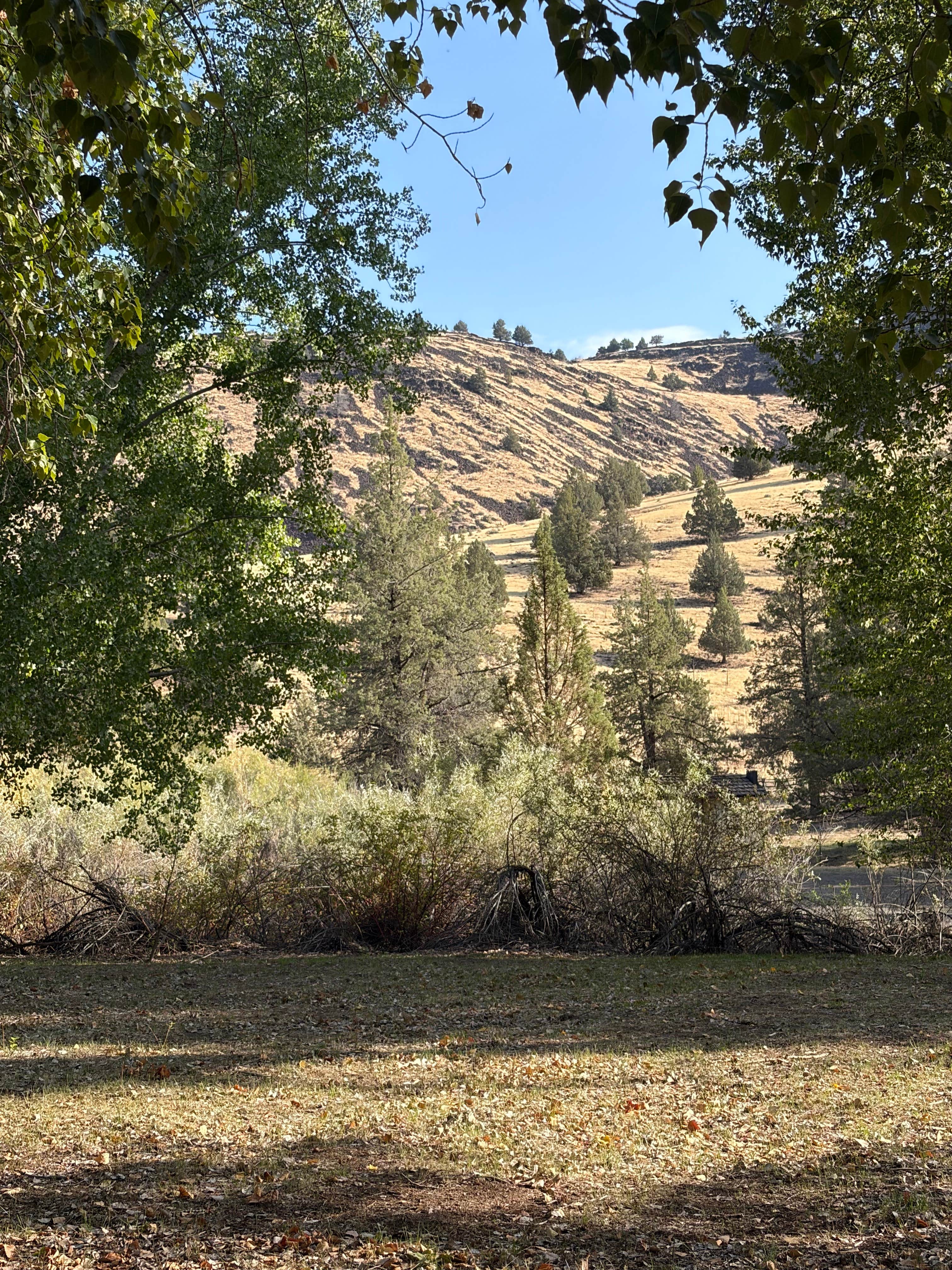 Camping near crane store and cafe rv park: Chukar Park Oregon, Harper, Oregon