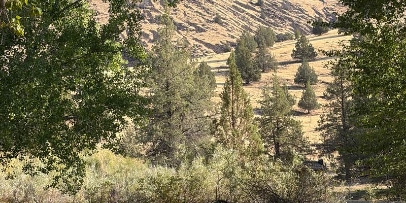 Camper submitted image from Chukar Park Oregon