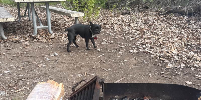 Camper submitted image from Chukar Park Oregon