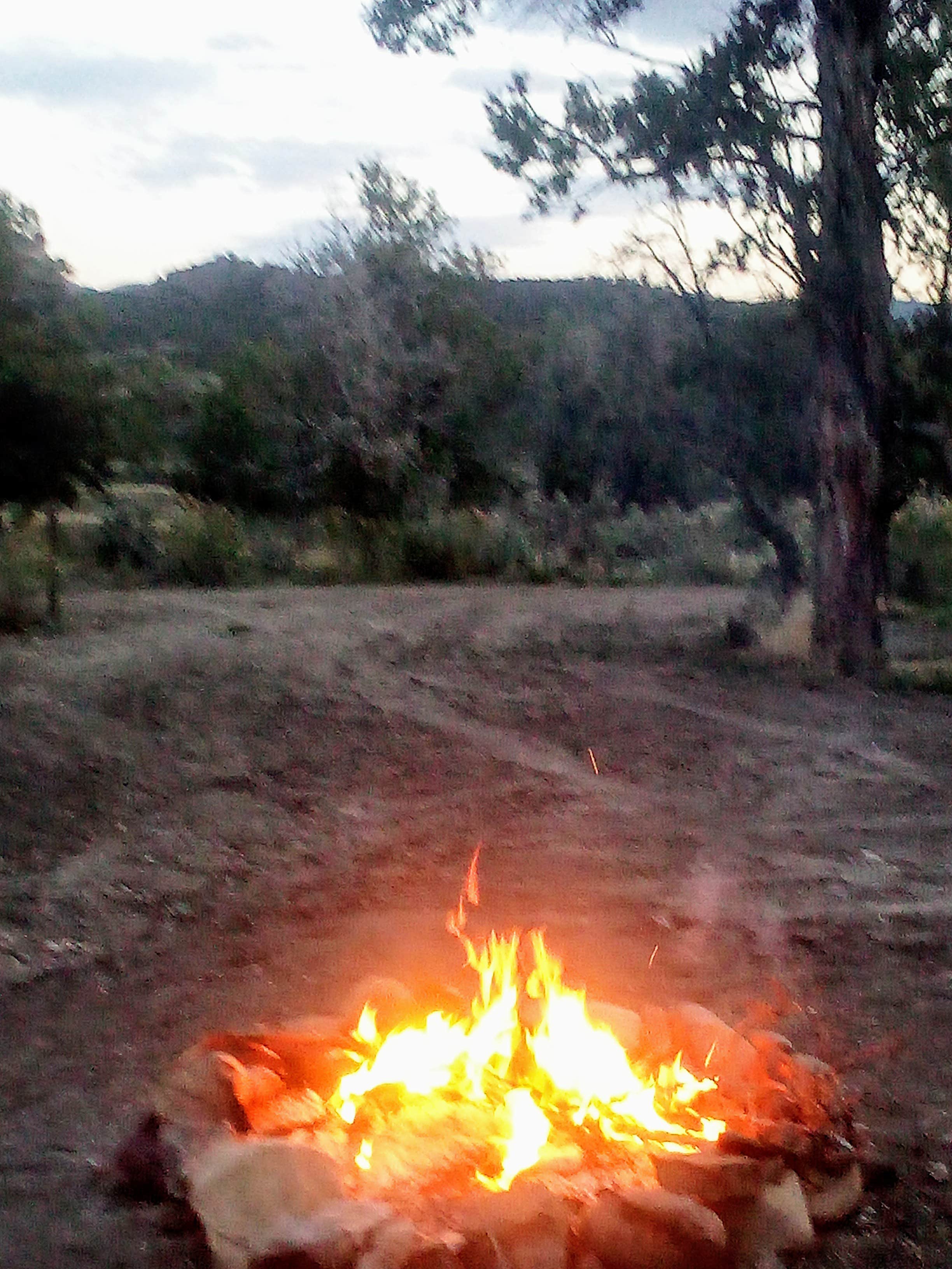 Camping near Riverwood RV Resort: Chutes and Ladders Dipsersed, Mesa Verde National Park, Colorado
