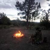 Review photo of Chutes and Ladders Dipsersed by Tracy H., May 2, 2024