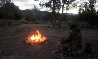 Tracy H.'s photo of camping with pets at Chutes and Ladders Dipsersed near Cortez, CO